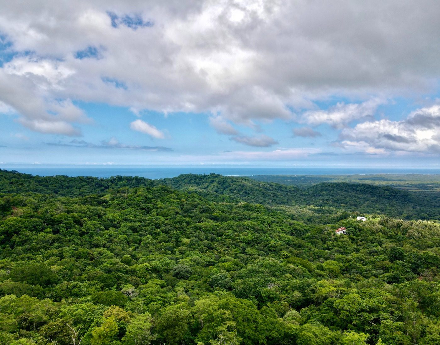 Finca El Cielo | 50-ACRE  Ocean View Farm Near PLAYA AVELLANA & PLAYA NEGRA