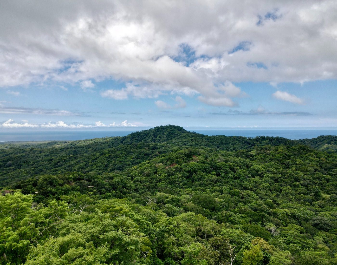 Finca El Cielo | 50-ACRE  Ocean View Farm Near PLAYA AVELLANA & PLAYA NEGRA - Image 3