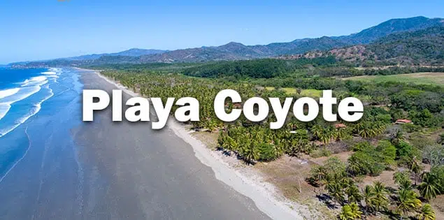playa-coyote-featured