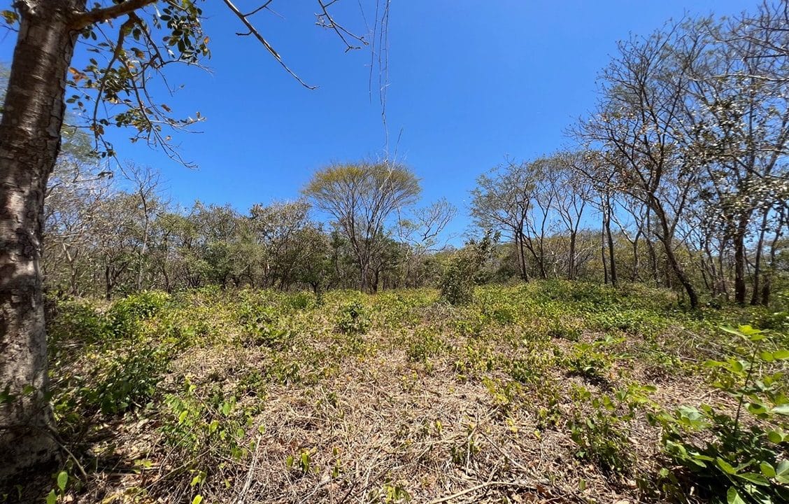 1.3ac Lot in Rancho Agua Dulce 7