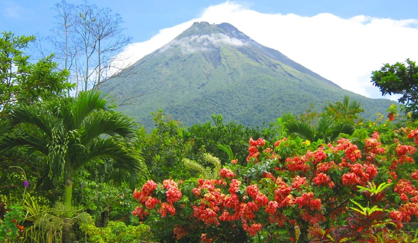 Arenal Volcano amidst lush flora in Costa Rica