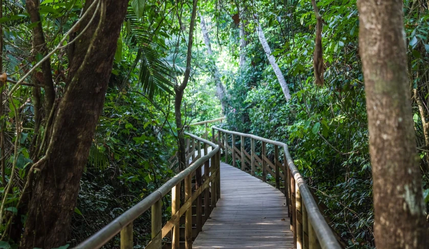 Best hikes in Costa Rica featuring a serene trail in Manuel Antonio National Park
