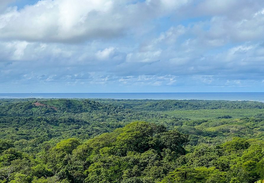 Ocean-View Lot in Senderos - 19F | Tamarindo