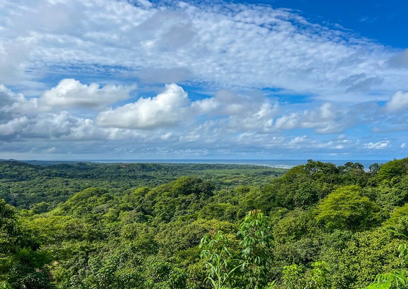 Ocean-View Lot in Senderos - 19F | Tamarindo - Image 4