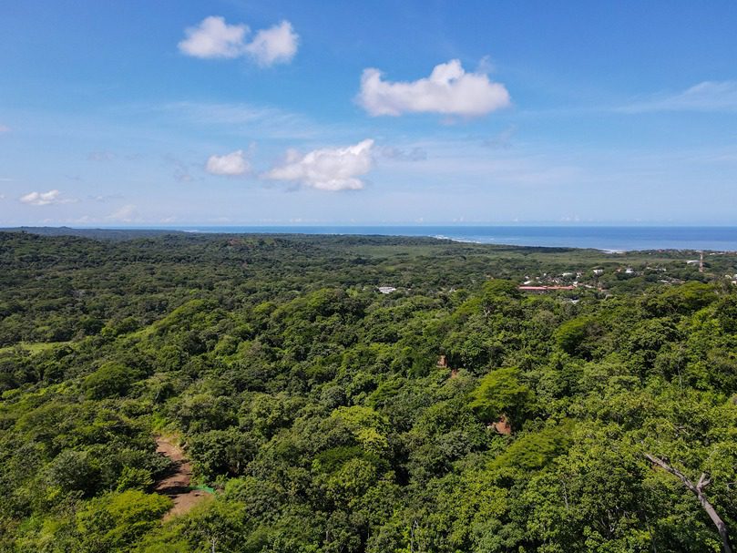 Ocean-View Lot in Senderos - 3F | Tamarindo - Image 3
