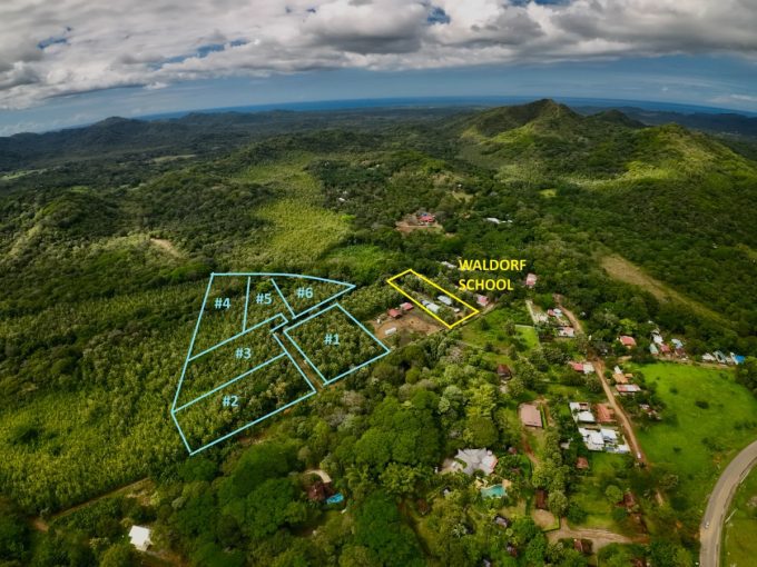 PHOTO 2025 02 06 16 41 24