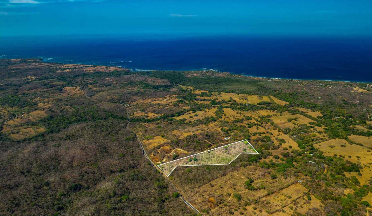 Finca-Junq-Coco-1
