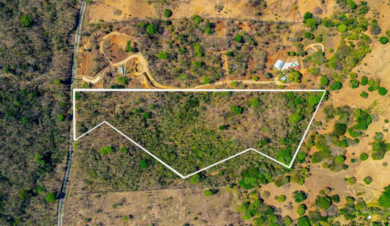 Finca-Junq-Coco-3