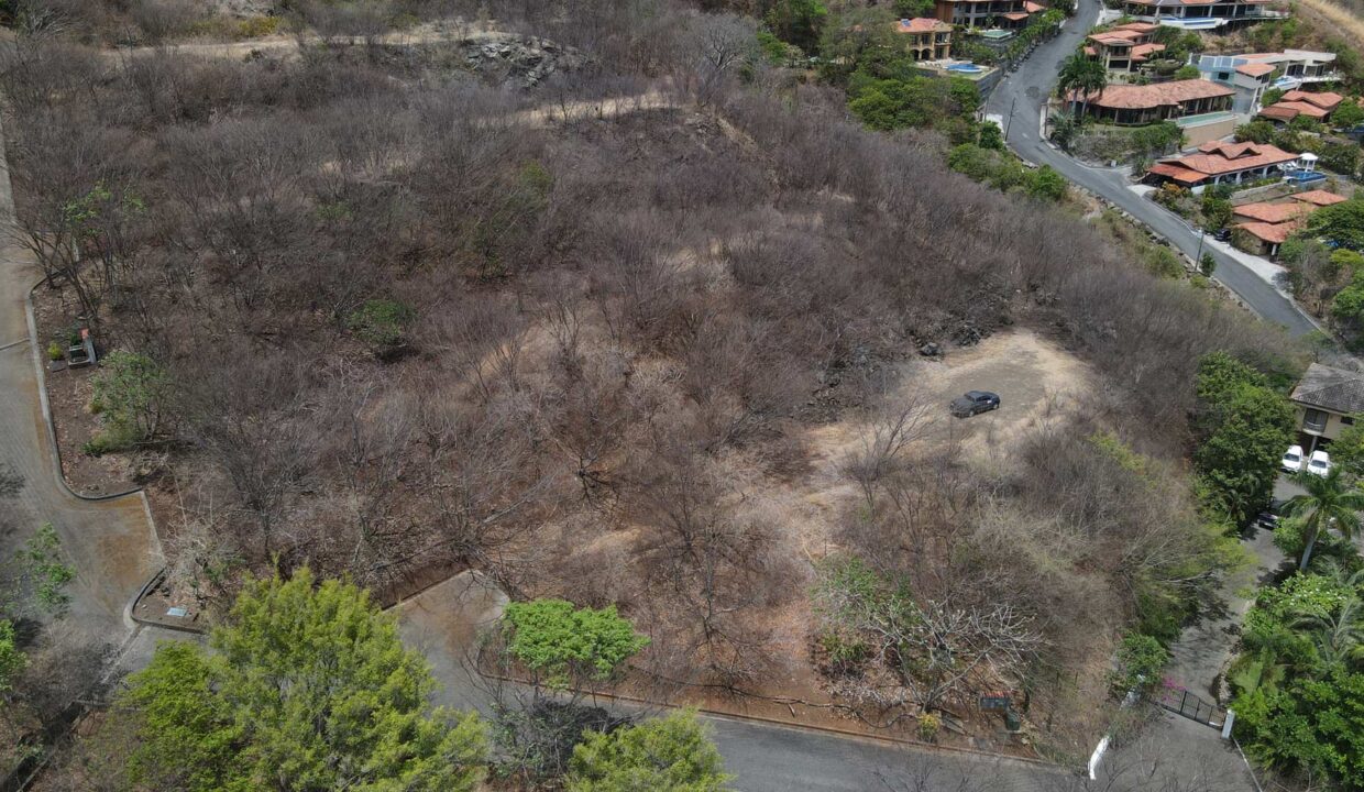 Alta Vista 10