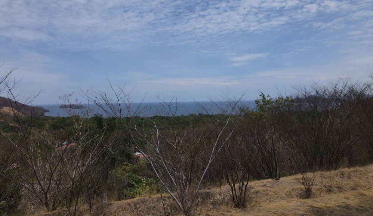 Alta Vista 11