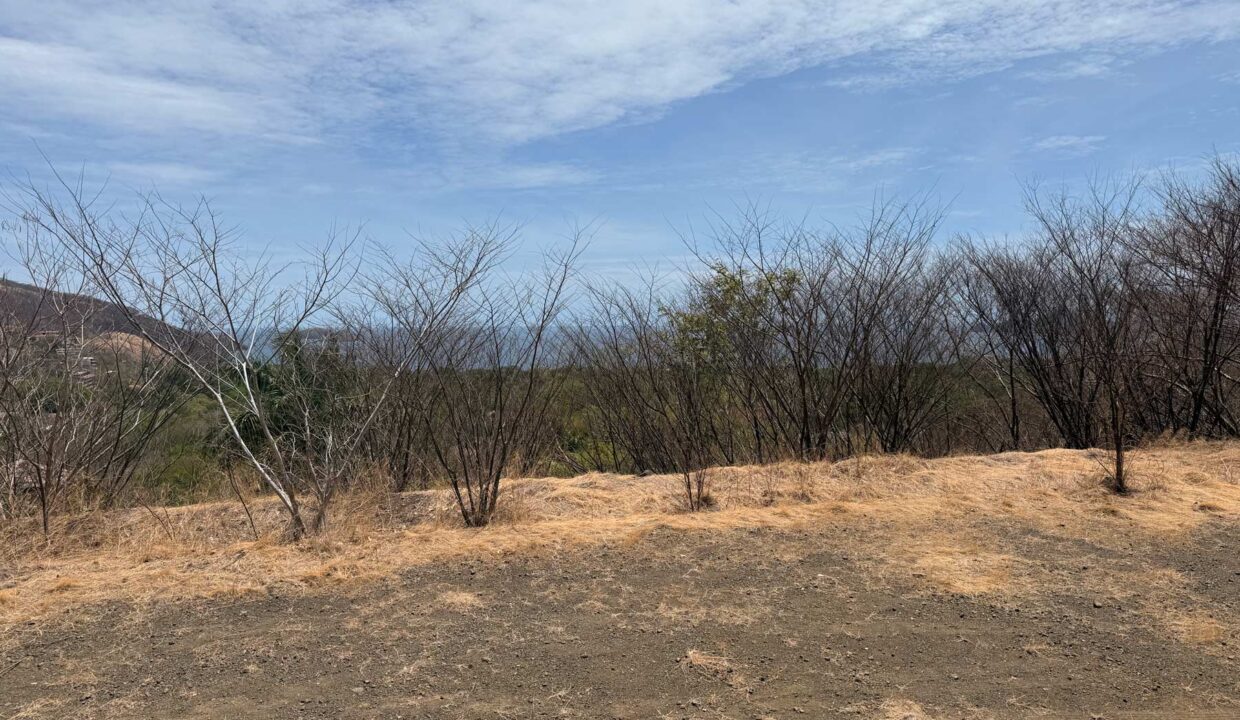 Alta Vista 12