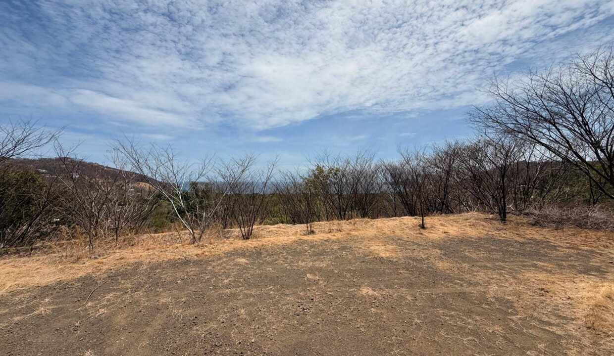 Alta Vista 13