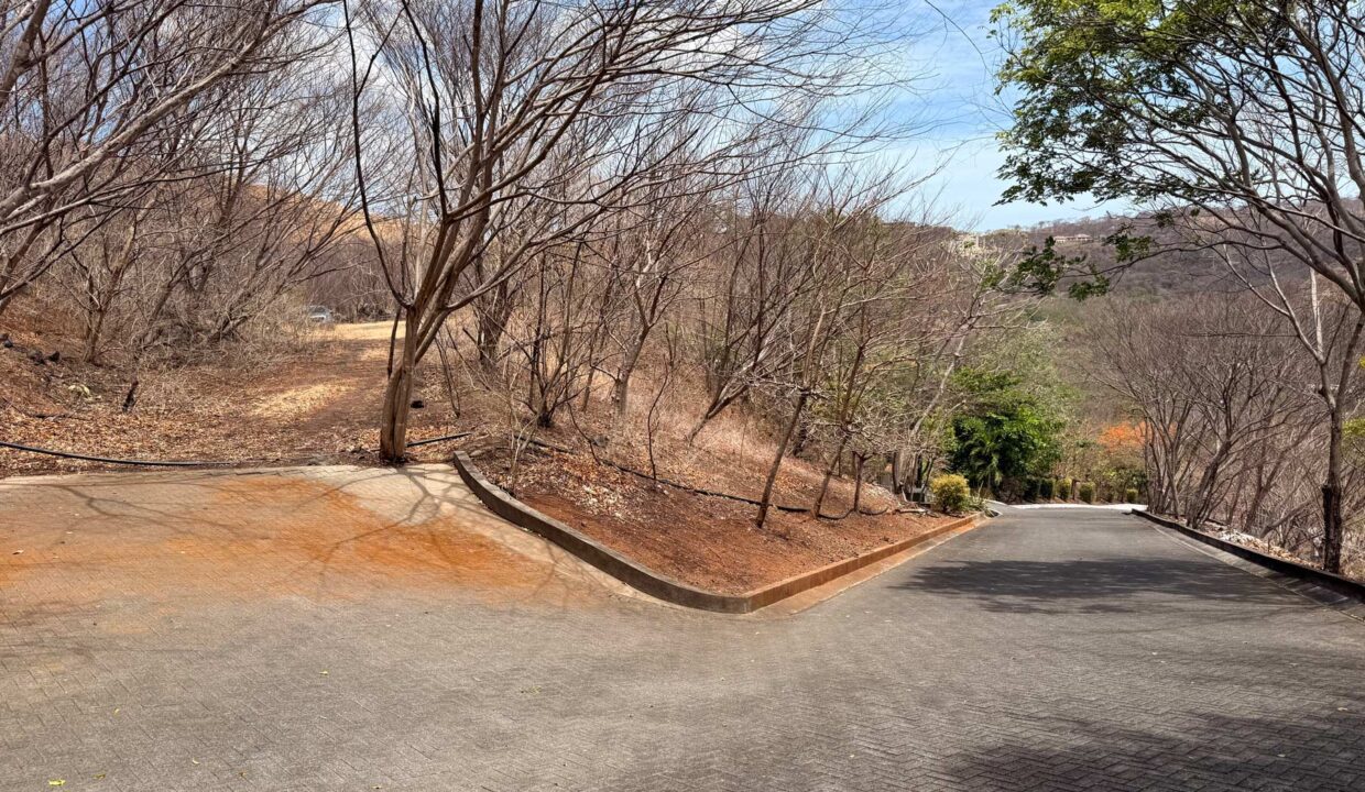 Alta Vista 2