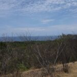 Alta Vista 9