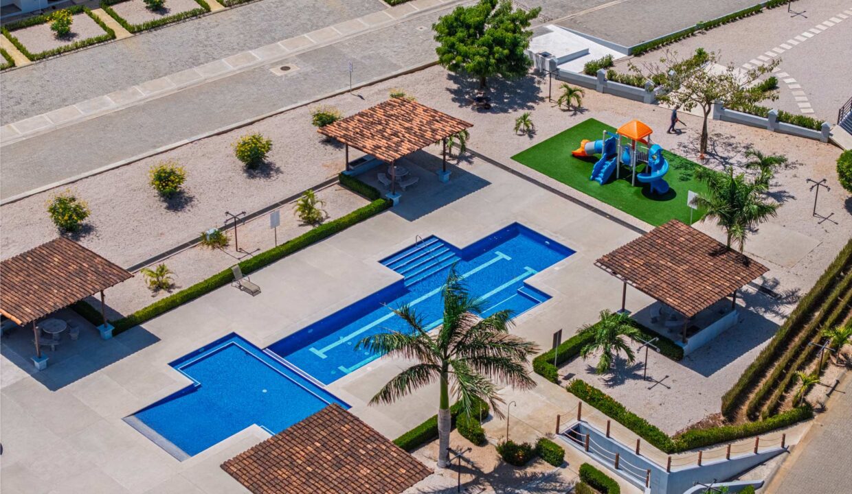 Jacarandas 38 5