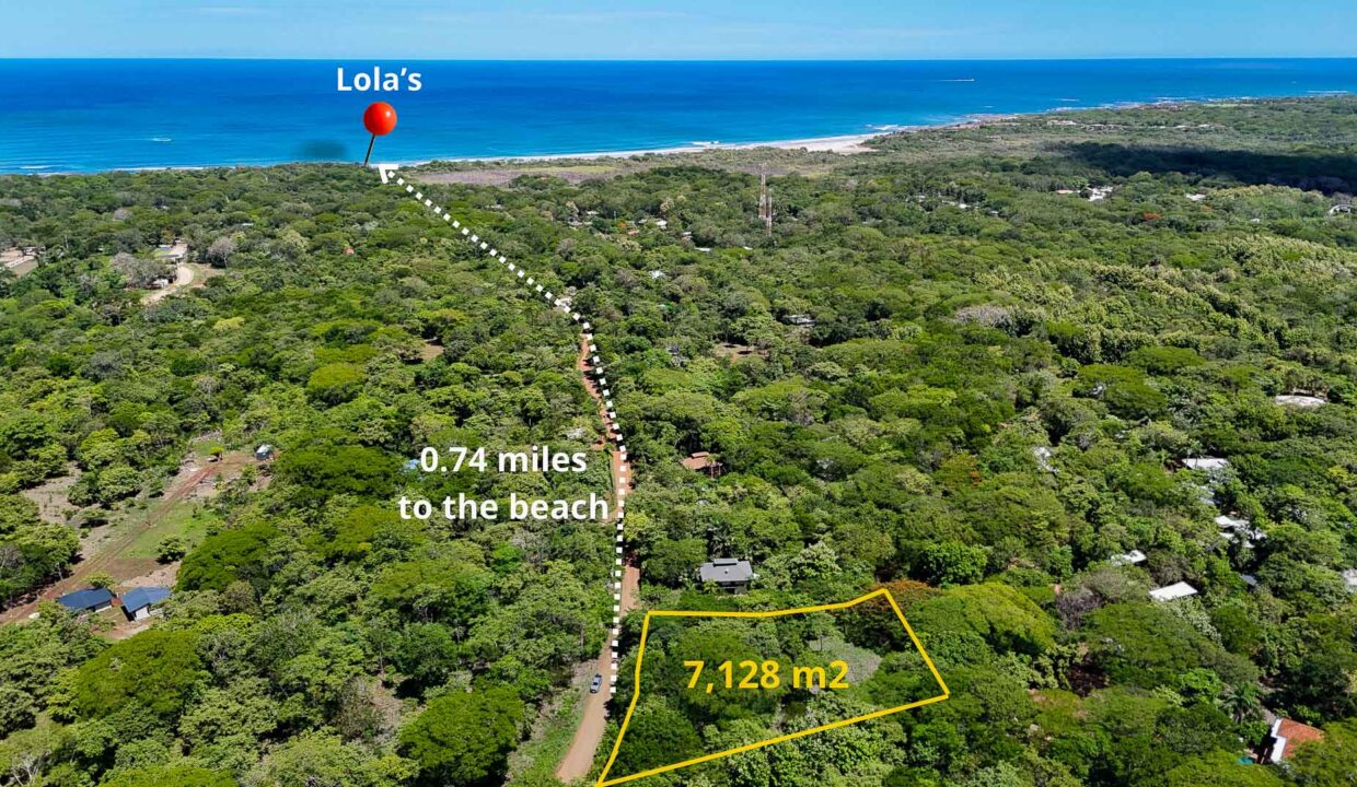 LOTE 7128 M2 AVELLANAS - 1