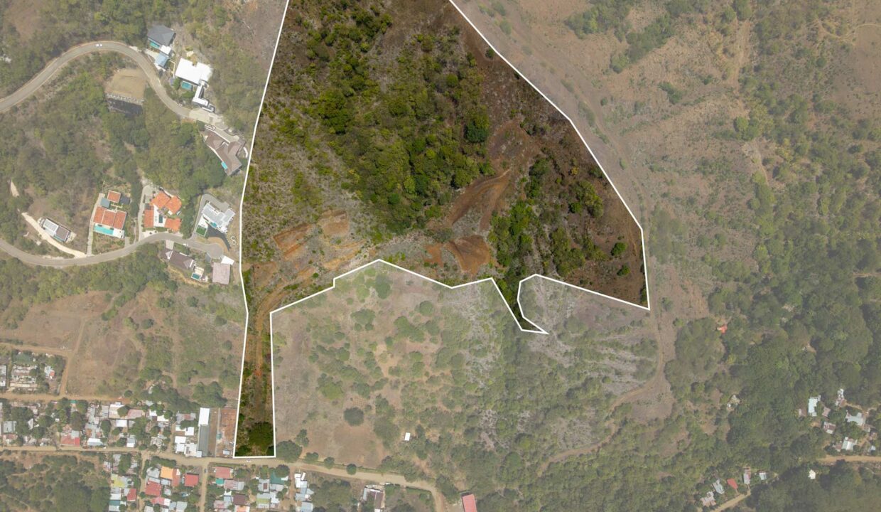 Coco-Hills-4