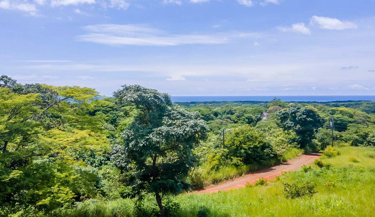Finca-LP1