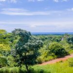 Finca LP1