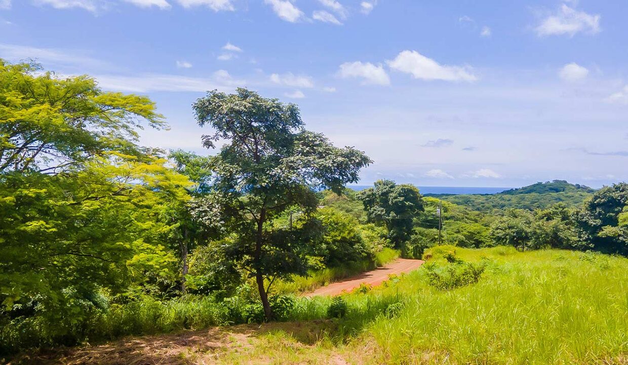 Finca-LP2