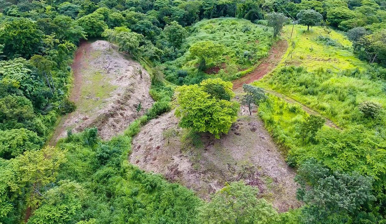 Finca-LP3