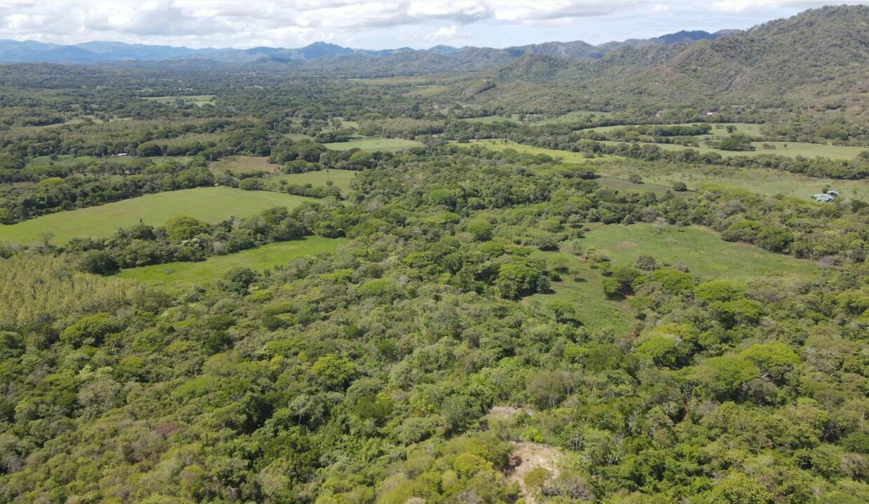 Finca-Tempate-3