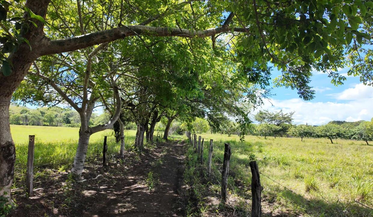 Finca-Tempate-7