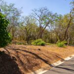 Lot 117 Ventanas 1