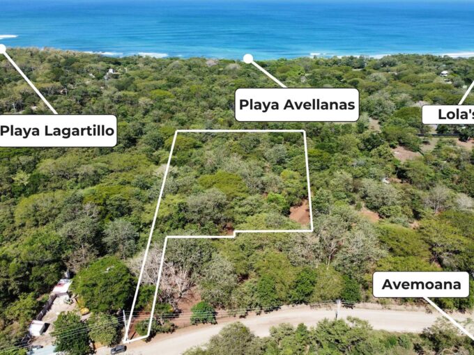 Dev Land Ave1