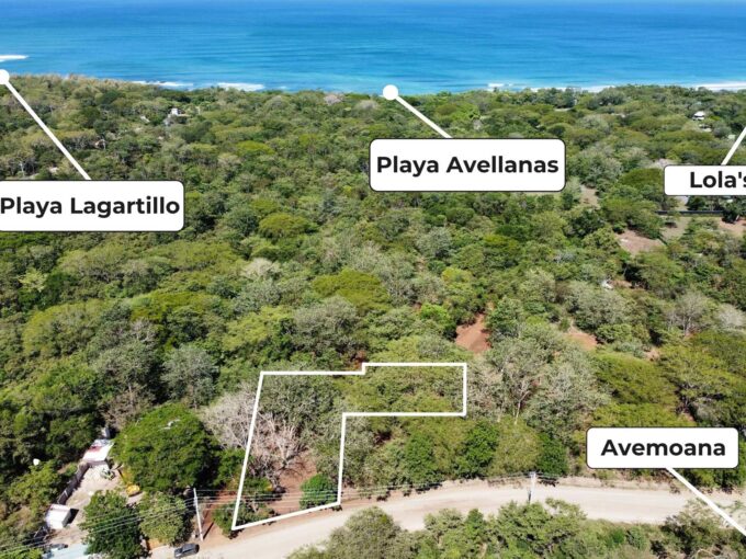 Dev Land Ave2